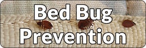 Preventing Bed Bugs Banner