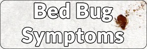 Bed Bug Symptoms page Banner