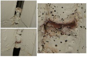 Heavy bed bug infestation door hinge