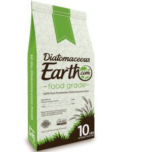 diatomaceous earth bed bug powder