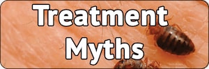 bed bug treatment myths banner