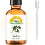 Tea Tree Oil