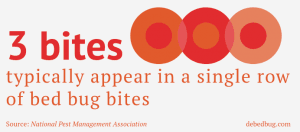 How To Identify And Stop Bed Bug Bites Debedbug