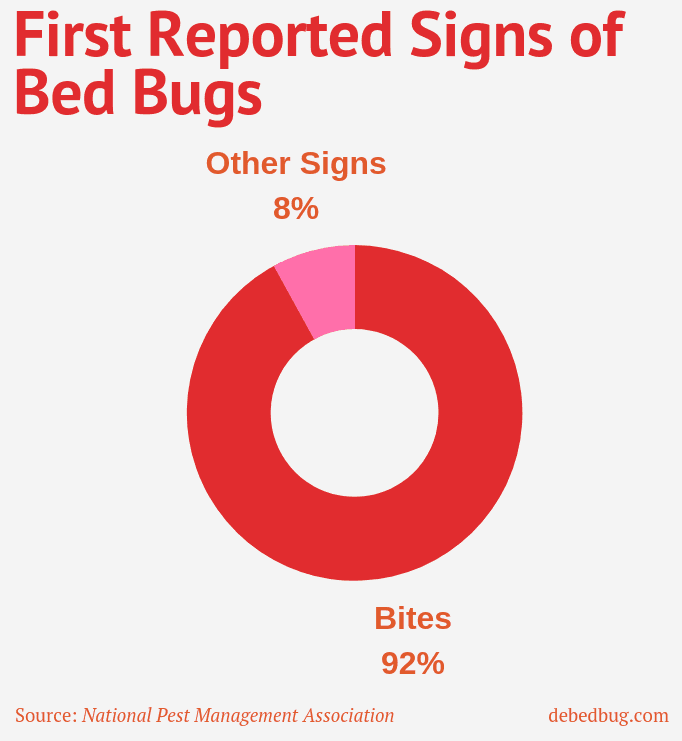 most common first bed bug sign