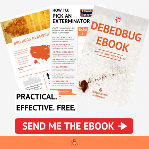 debedbug ebook banner