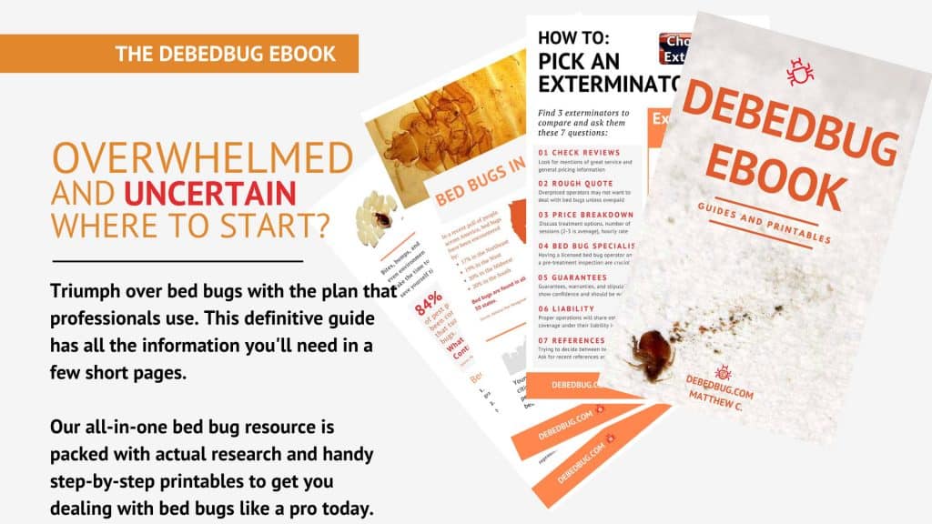 The Guide To Victory Over Bed Bugs Debedbug